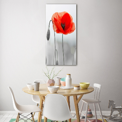 Wall art acrylic Field poppies