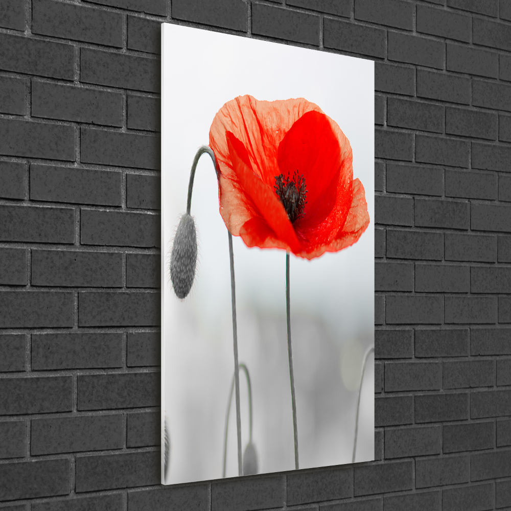 Wall art acrylic Field poppies