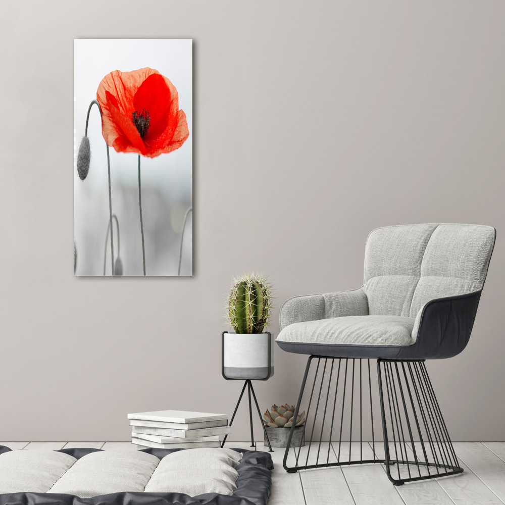 Wall art acrylic Field poppies