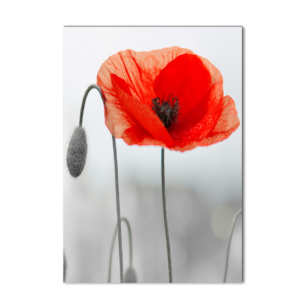 Wall art acrylic Field poppies