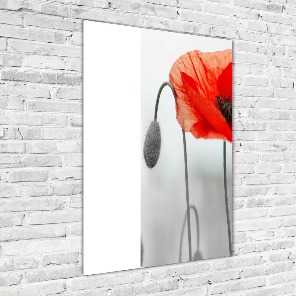 Wall art acrylic Field poppies