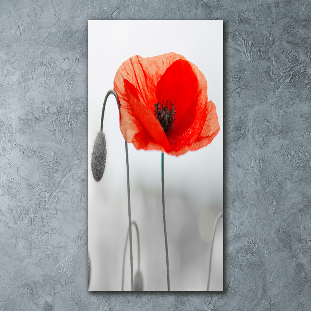 Wall art acrylic Field poppies