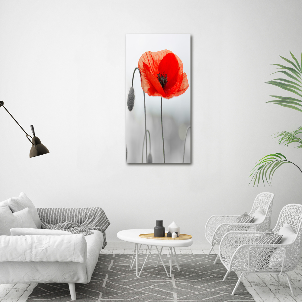 Wall art acrylic Field poppies