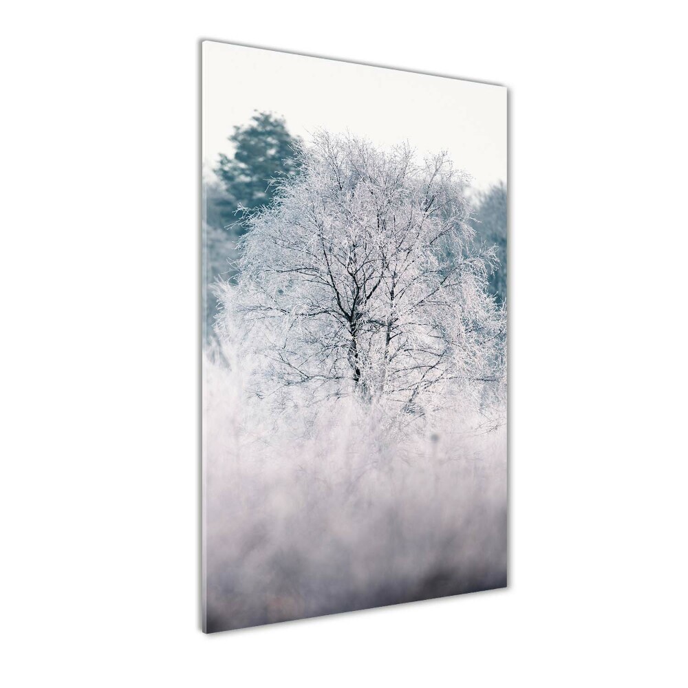 Print on acrylic Forest in winter