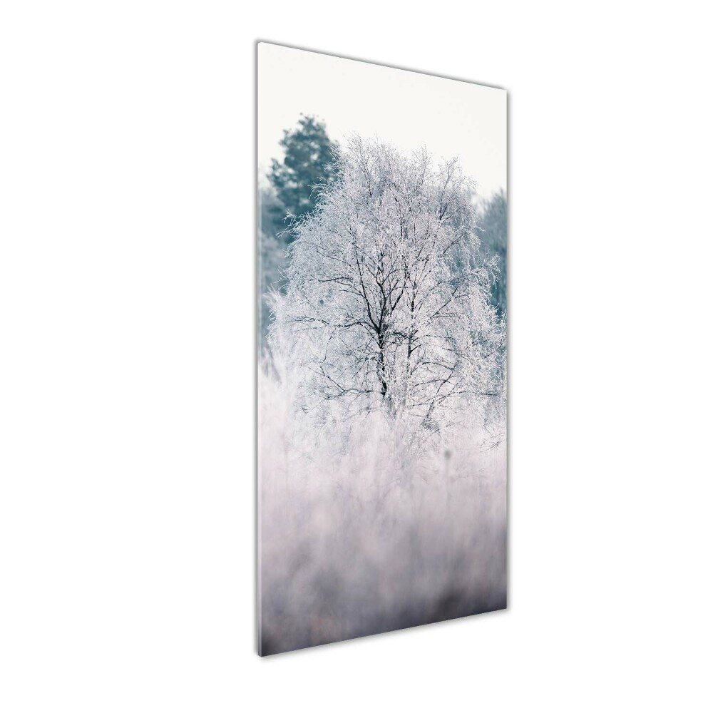 Print on acrylic Forest in winter