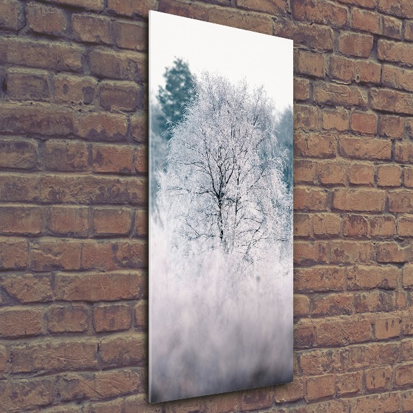 Print on acrylic Forest in winter