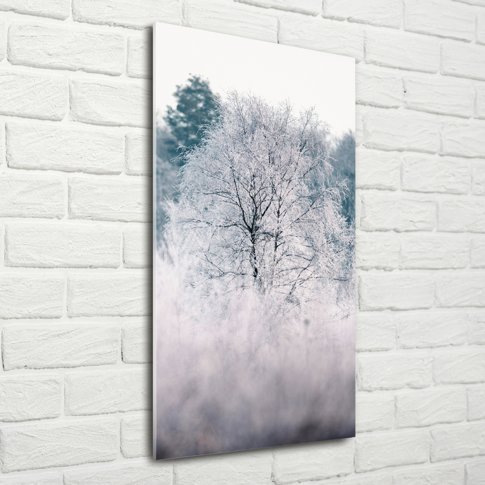 Print on acrylic Forest in winter