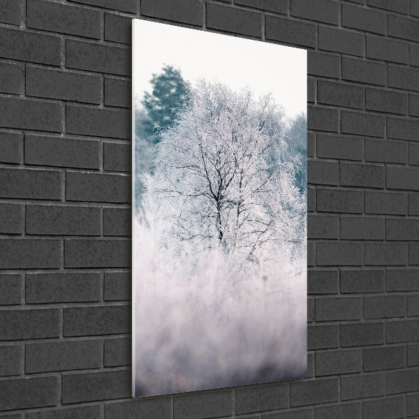 Print on acrylic Forest in winter