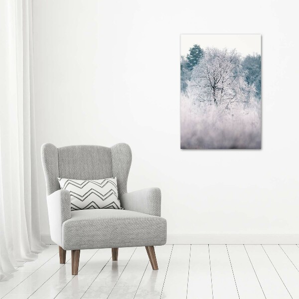 Print on acrylic Forest in winter