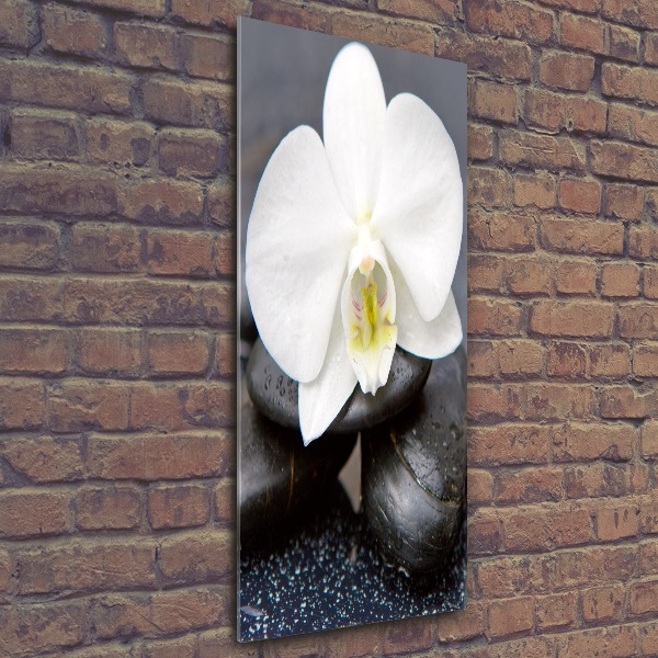 Print on acrylic Orchid and stones