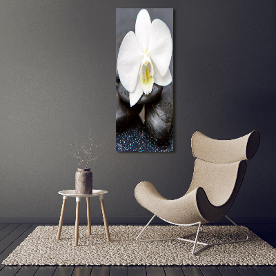 Print on acrylic Orchid and stones