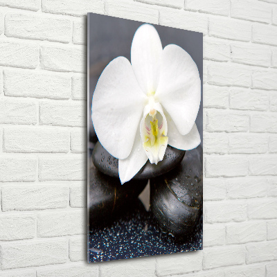 Print on acrylic Orchid and stones