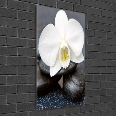 Print on acrylic Orchid and stones