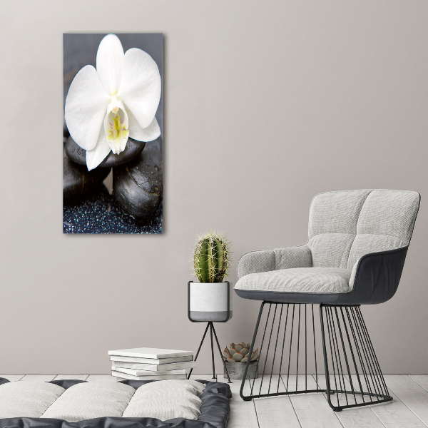 Print on acrylic Orchid and stones