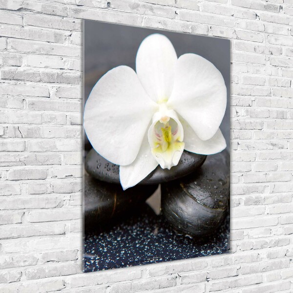 Print on acrylic Orchid and stones