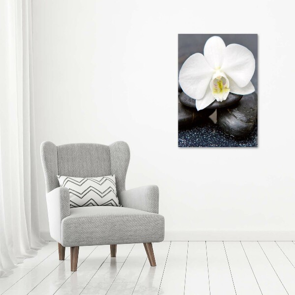 Print on acrylic Orchid and stones