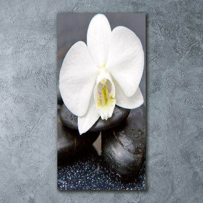 Print on acrylic Orchid and stones