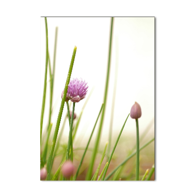 Print on acrylic Chives