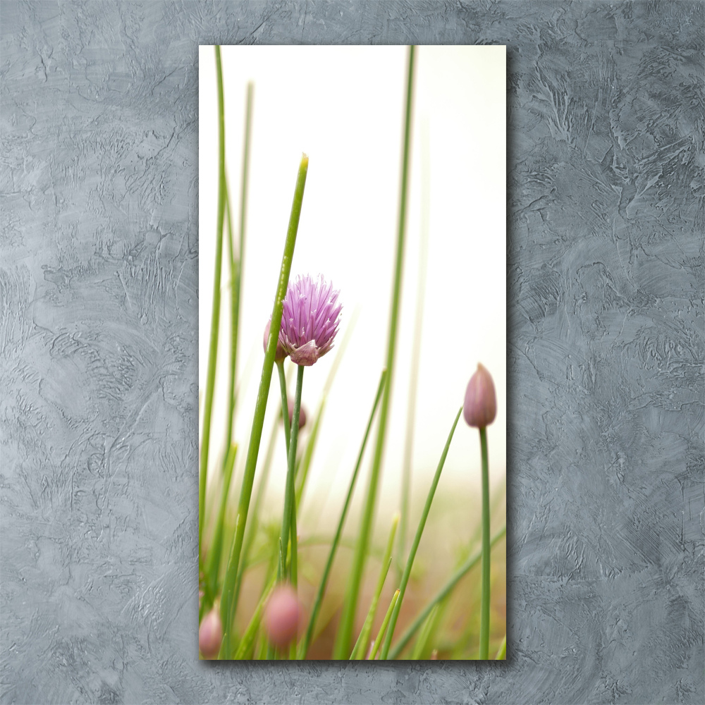 Print on acrylic Chives