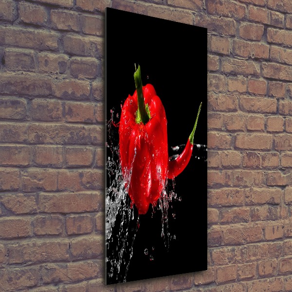 Acrylic glass print Two peppers