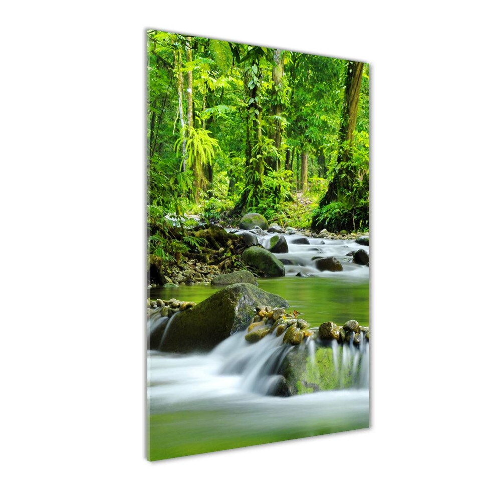 Wall art acrylic Mountain stream