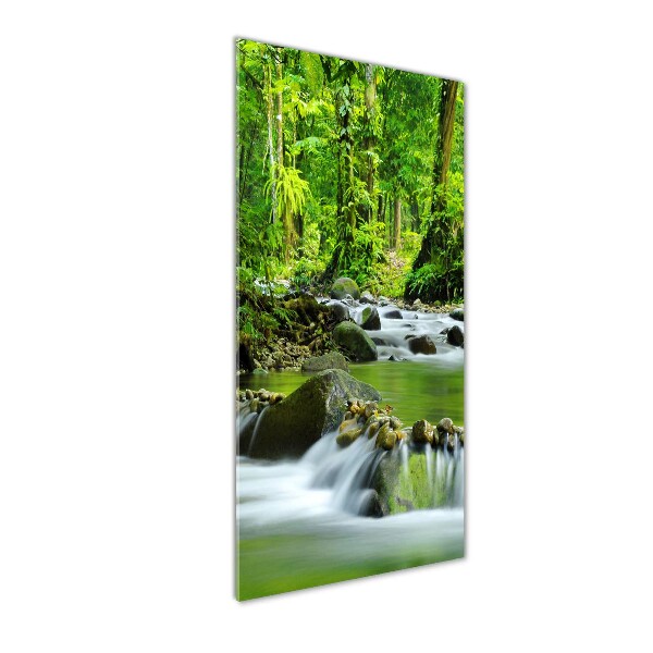 Wall art acrylic Mountain stream