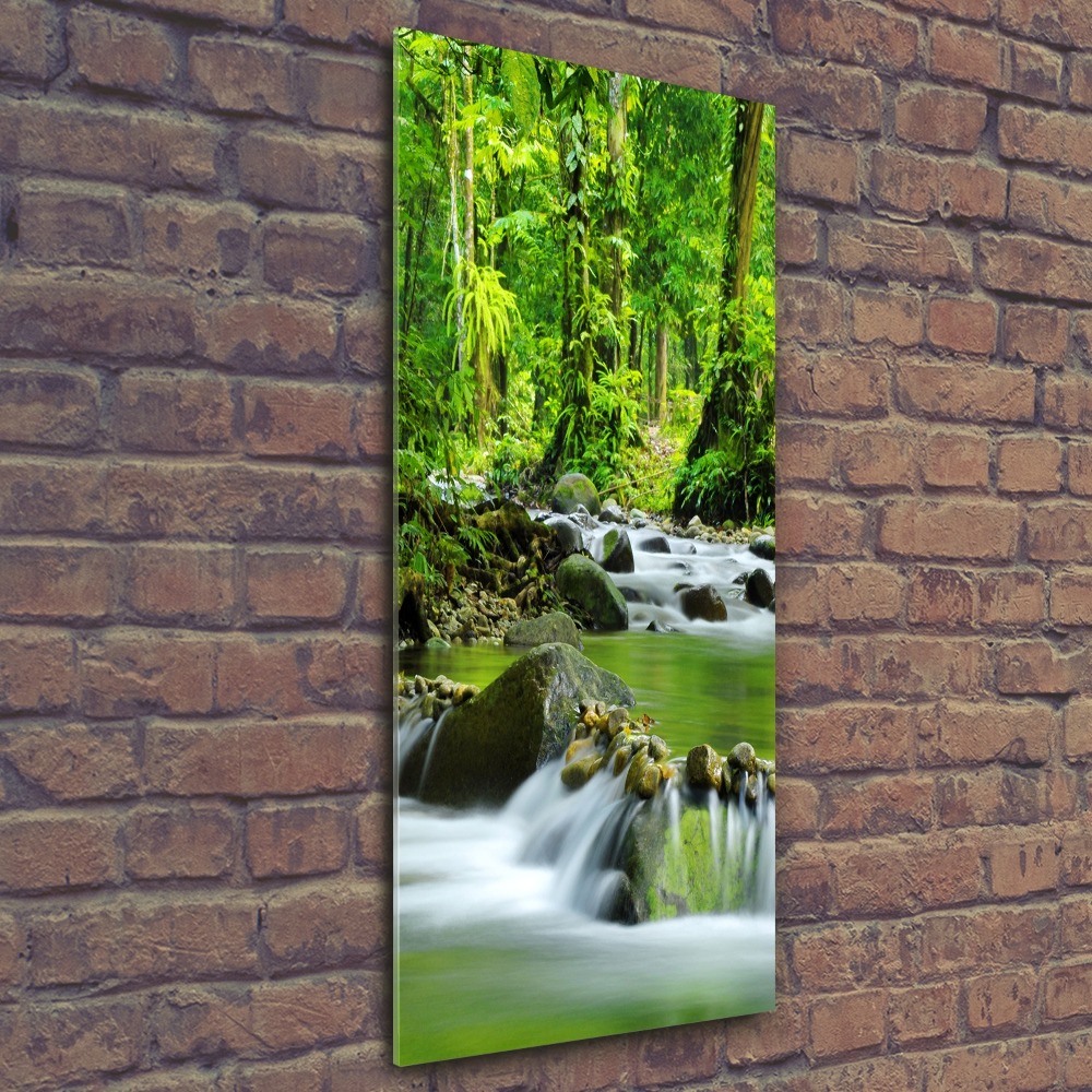 Wall art acrylic Mountain stream