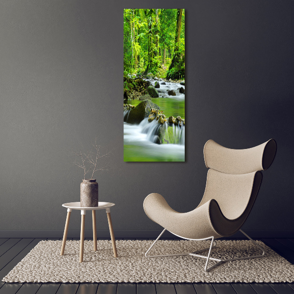 Wall art acrylic Mountain stream