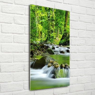 Wall art acrylic Mountain stream