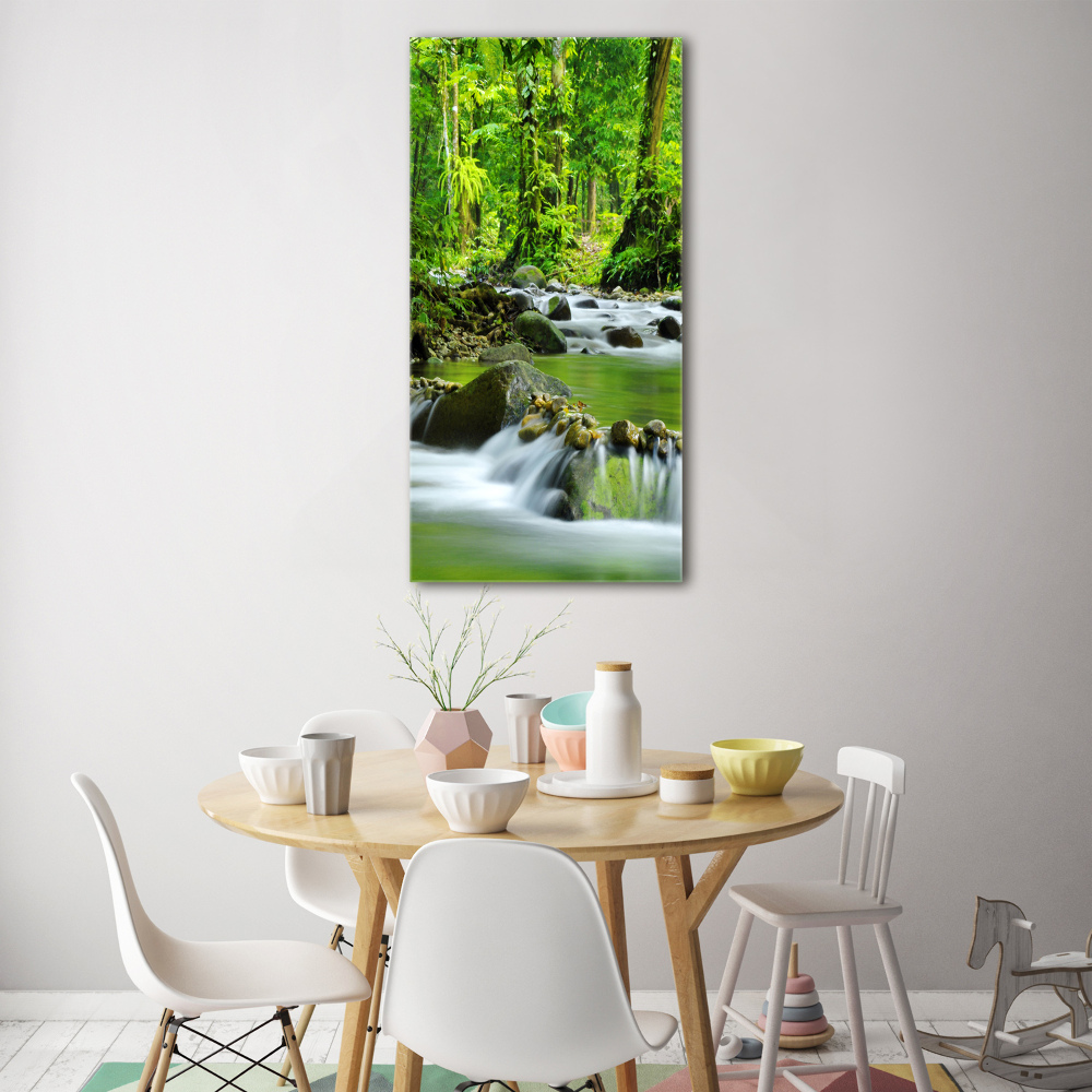 Wall art acrylic Mountain stream