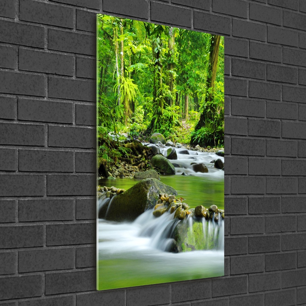 Wall art acrylic Mountain stream