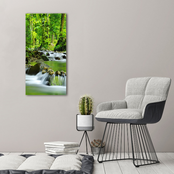 Wall art acrylic Mountain stream