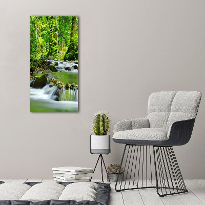 Wall art acrylic Mountain stream