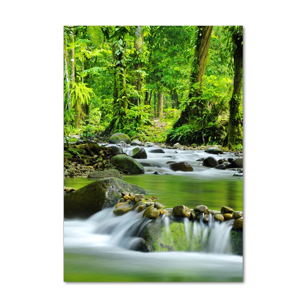 Wall art acrylic Mountain stream