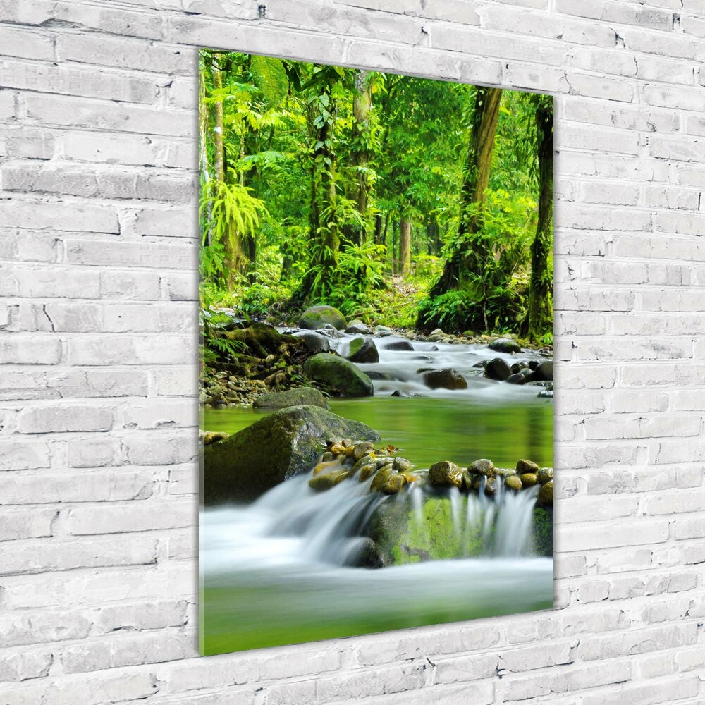 Wall art acrylic Mountain stream