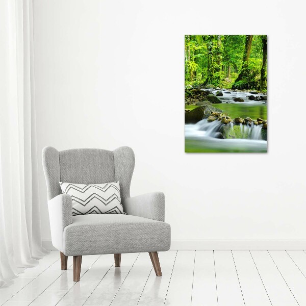 Wall art acrylic Mountain stream