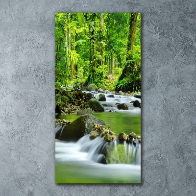 Wall art acrylic Mountain stream