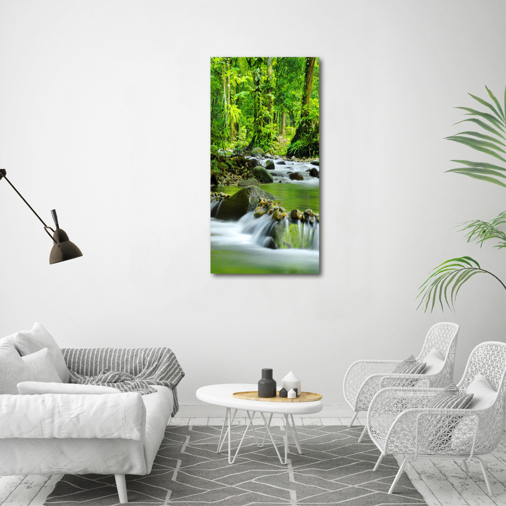 Wall art acrylic Mountain stream