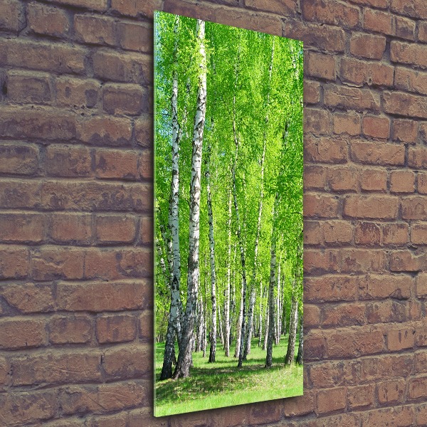 Wall art acrylic Birch forest