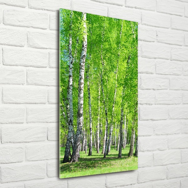 Wall art acrylic Birch forest