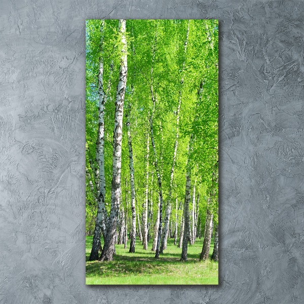 Wall art acrylic Birch forest