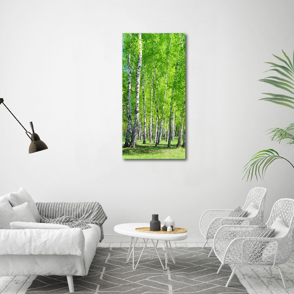 Wall art acrylic Birch forest