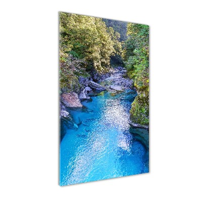 Print on acrylic River in the forest