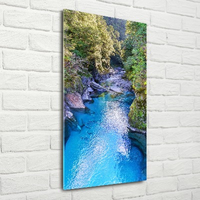 Print on acrylic River in the forest