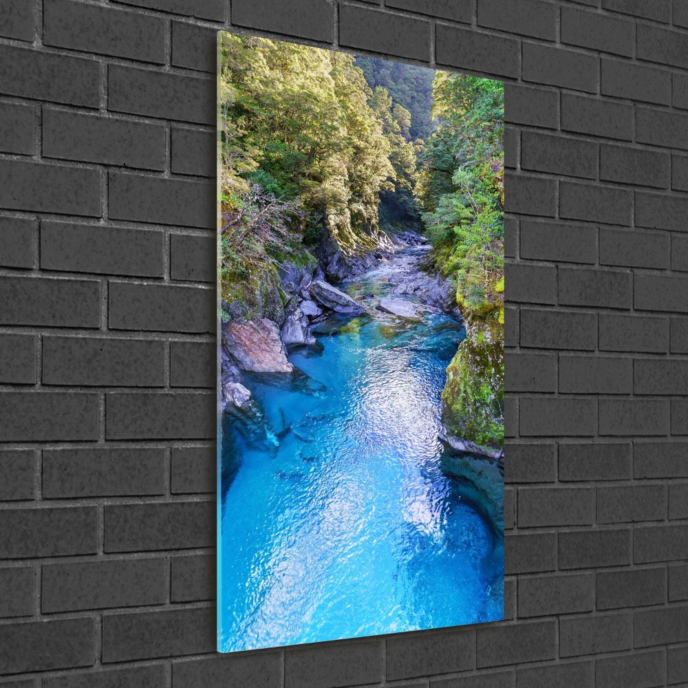 Print on acrylic River in the forest