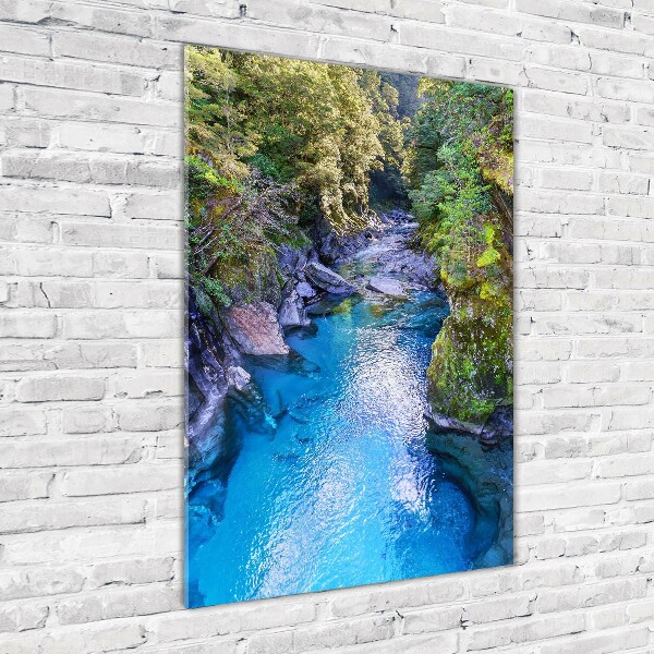 Print on acrylic River in the forest