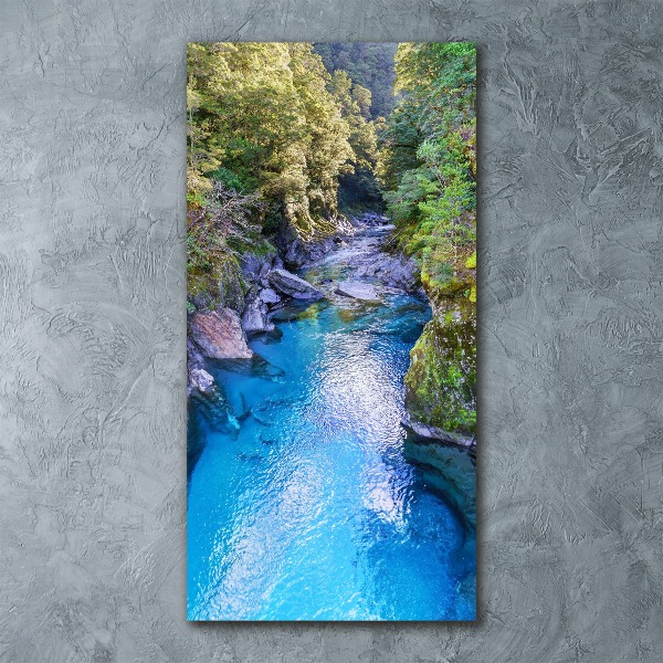 Print on acrylic River in the forest