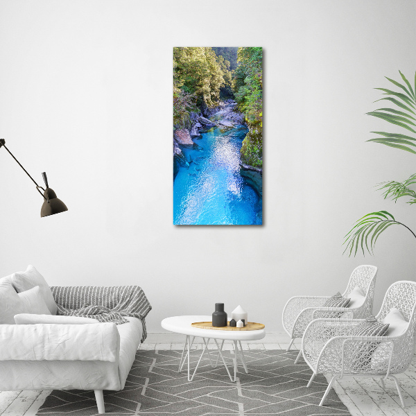 Print on acrylic River in the forest