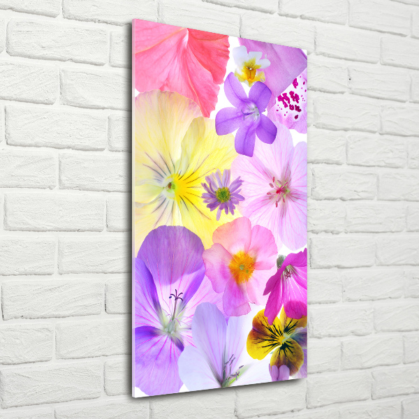 Acrylic wall art Colorful flowers