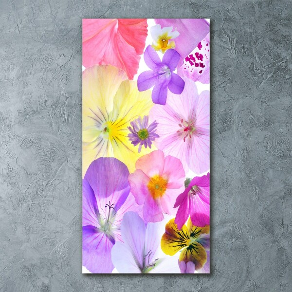 Acrylic wall art Colorful flowers